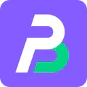 BestProxy logo